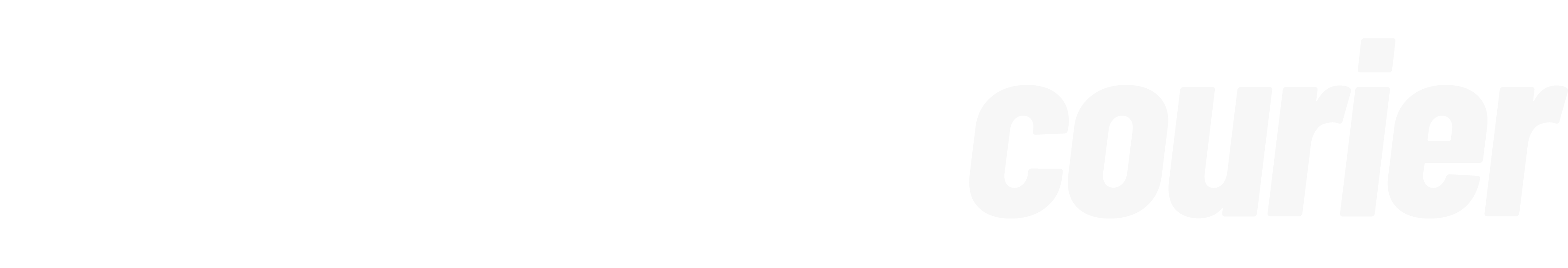 Footer Logo